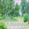 images/Schweden/Schweden 2009/IMG_4472.jpg